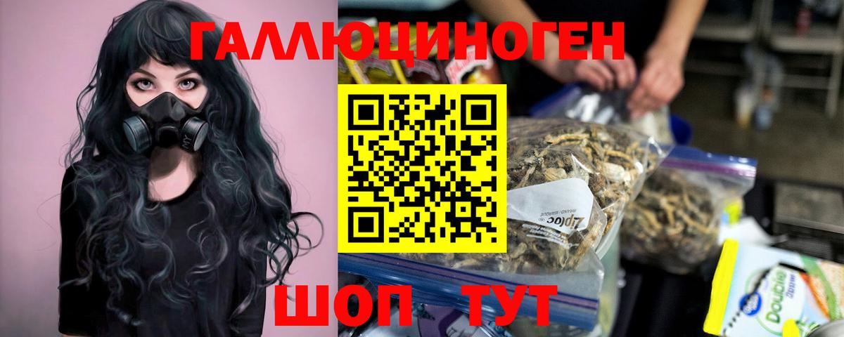 Галлюциногенные грибы мухоморы  Вход с VPN  Советск  Галлюциногенные грибы Psilocybine cubensis 